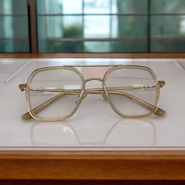 The Golden Mattle Plastic Mix Dual Bridge Frame Eyewear